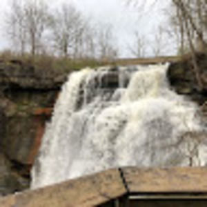 Meet your Posher, Neah swierk